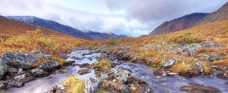 River Gold Rushing